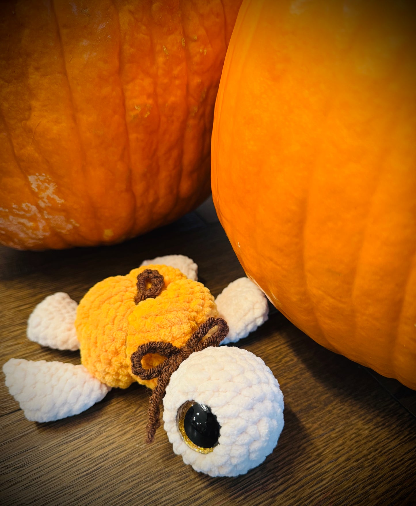 Pumpkin Turtle Plush | Handmade Autumn Crochet Turtle