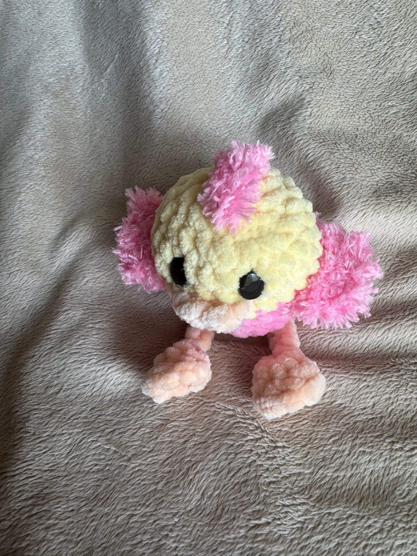 Silly Bird Plush | Crochet Bird Easter Basket Stuffer